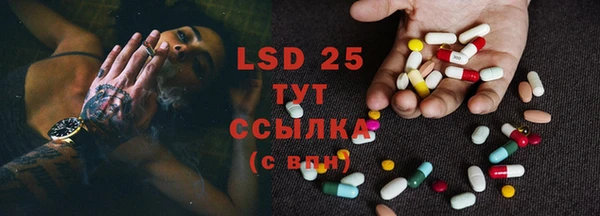 стаф Баксан