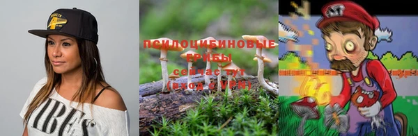 бошки Аркадак