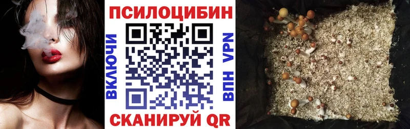 Галлюциногенные грибы Psilocybe  Купить закладки  Большой Камень 